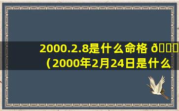 2000.2.8是什么命格 🍀 （2000年2月24日是什么命）